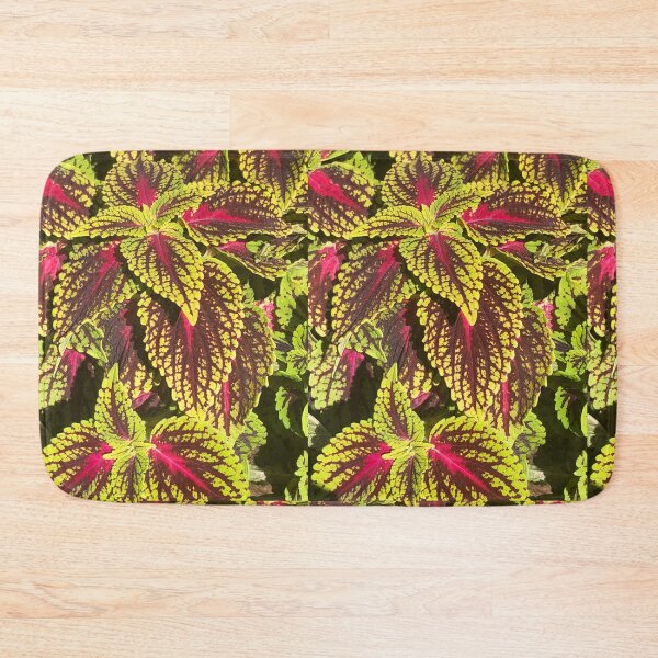 Item preview, Coleus Shrubs Western New York  designed and sold by Kaushal Pal.
