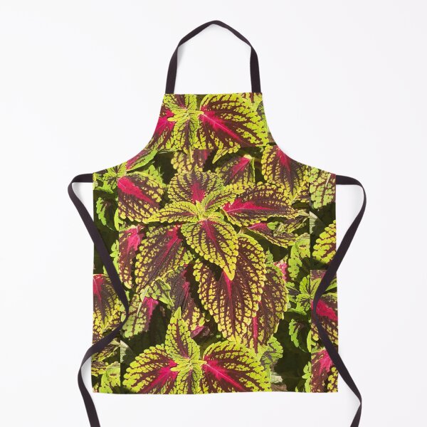 Item preview, Coleus Shrubs Western New York  designed and sold by Kaushal Pal.