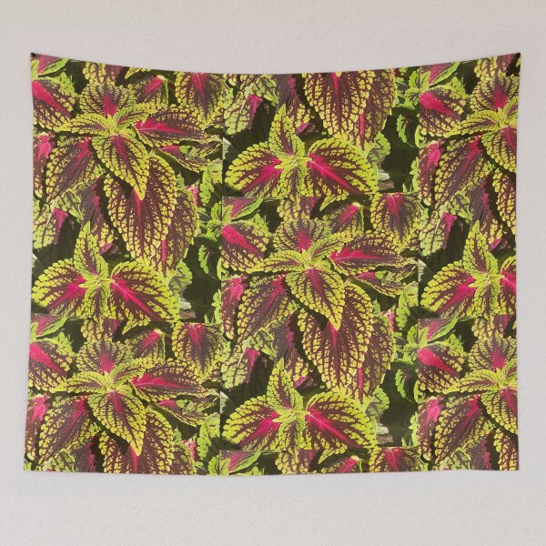 Item preview, Coleus Shrubs Western New York  designed and sold by Kaushal Pal.