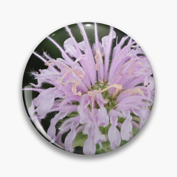 Item preview, Native Beauty designed and sold by Anita Oakley.