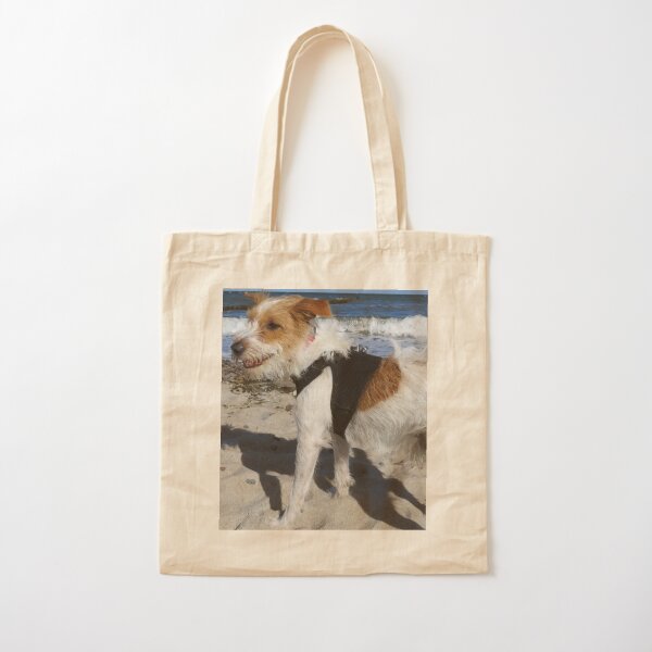 dog beach bag