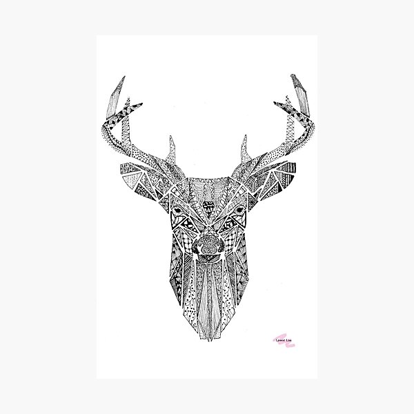 Mr Stag Photographic Print