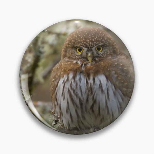 Item preview, Owl designed and sold by Bill Rockenbeck.