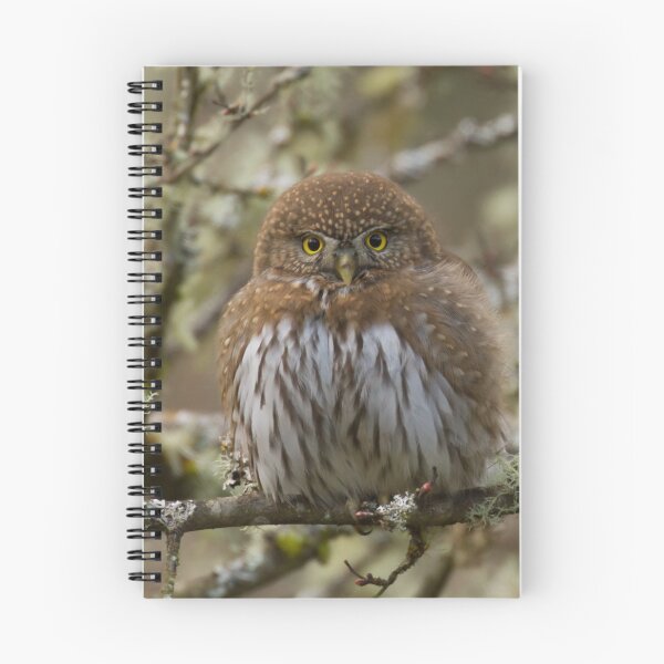 Item preview, Owl designed and sold by Bill Rockenbeck.