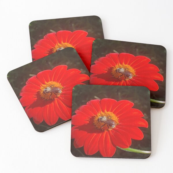 Item preview, Wildflower Seed Mixes Nature designed and sold by Kaushal Pal.