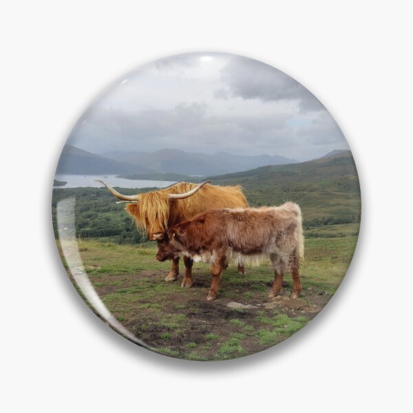 Item preview, Highland cows Conic Hill Loch Lommond background Scotland designed and sold by Scottish Photography .