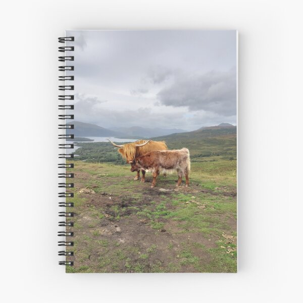 Item preview, Highland cows Conic Hill Loch Lommond background Scotland designed and sold by Scottish Photography .