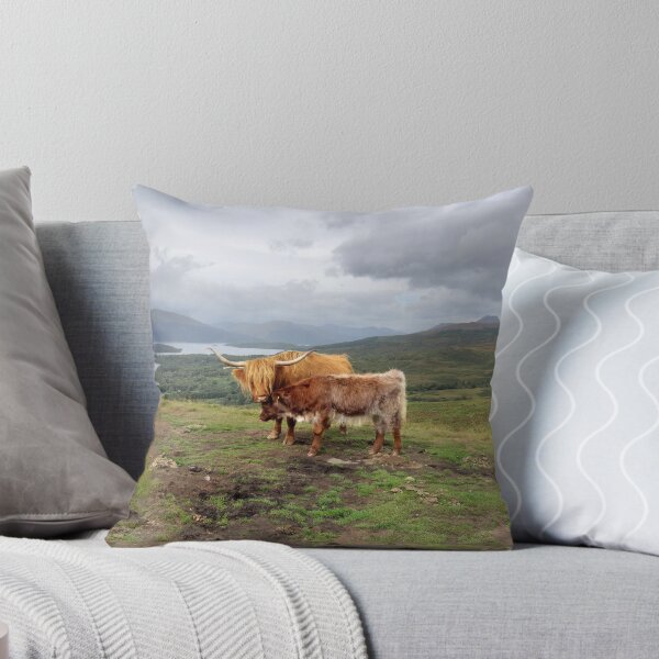 Item preview, Highland cows Conic Hill Loch Lommond background Scotland designed and sold by Scottish Photography .