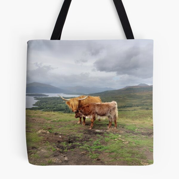 Item preview, Highland cows Conic Hill Loch Lommond background Scotland designed and sold by Scottish Photography .