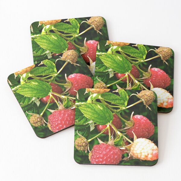 Item preview, raspberries designed and sold by AidaArt.
