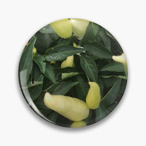 Item preview, Green Chili Peppers Garden designed and sold by Kaushal Pal.