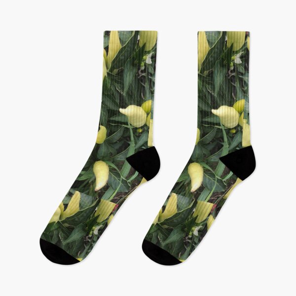 Item preview, Green Chili Peppers Garden designed and sold by Kaushal Pal.