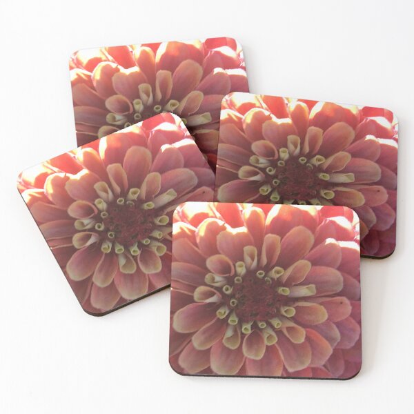 Item preview, Zinnia Flower Blossom Perennial  designed and sold by Kaushal Pal.