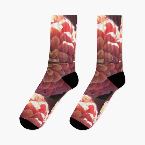 Item preview, Zinnia Flower Blossom Perennial  designed and sold by Kaushal Pal.