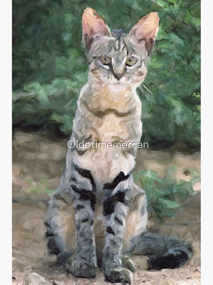 Thumbnail 3 of 3, Poster, African Wild Cat Wildlife Artwork designed and sold by Oldetimemercan.