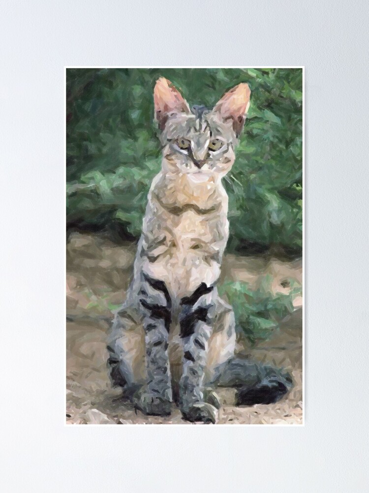 Thumbnail 1 of 3, Poster, African Wild Cat Wildlife Artwork designed and sold by Oldetimemercan.