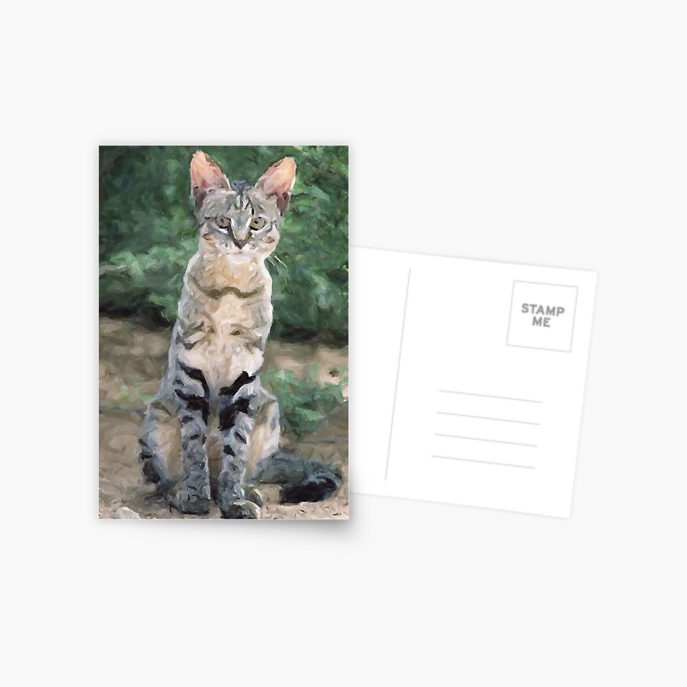 Item preview, Postcard designed and sold by Oldetimemercan.