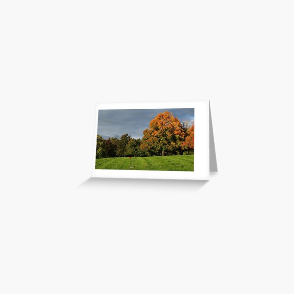 Freedom isn't Free Greeting Card
