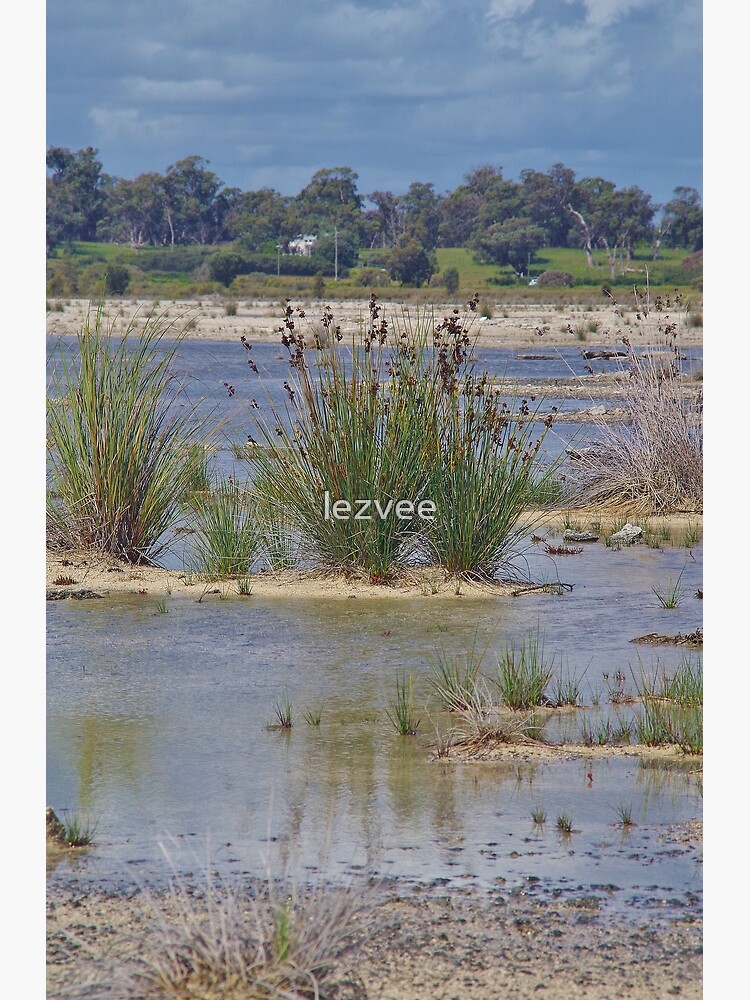 "Salt Lake Flats" Poster for Sale by lezvee Redbubble