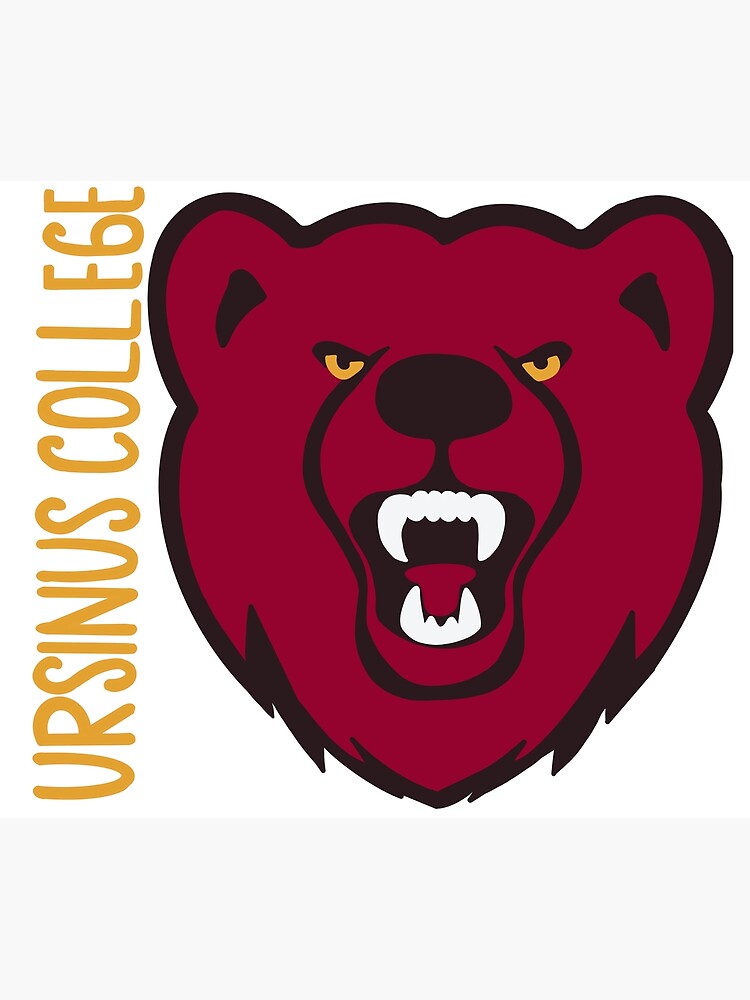 "Ursinus Bear" Poster For Sale By Kaylasweeney | Redbubble