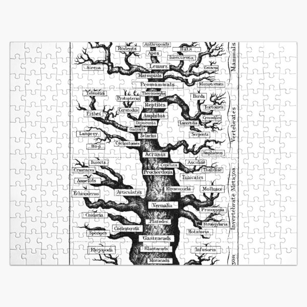 Genealogical Tree of Humanity Jigsaw Puzzle