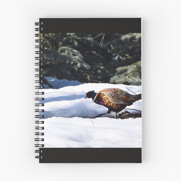 Item preview, Ring Necked Pheasant designed and sold by CanadianWild418.