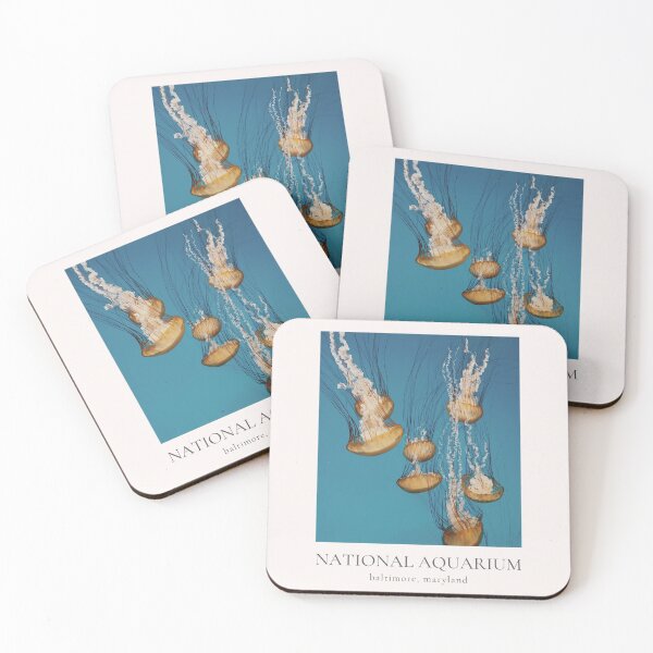 Item preview, National Aquarium, Baltimore MD designed and sold by Tessia Photography.