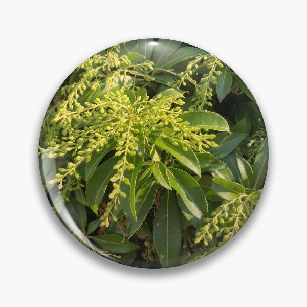Item preview, Foliage designed and sold by Amanda1775.