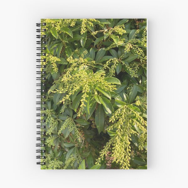 Item preview, Foliage designed and sold by Amanda1775.