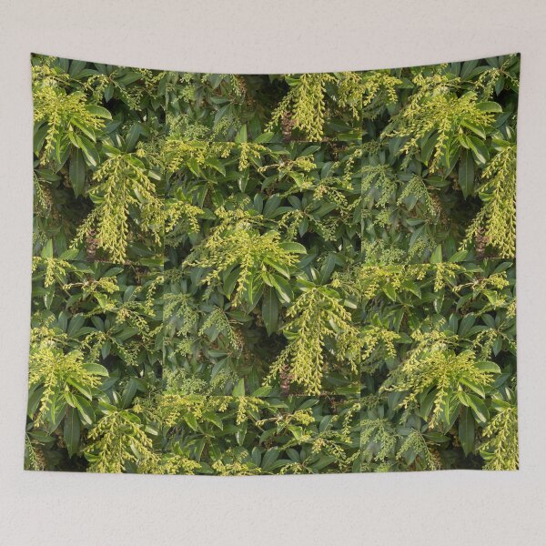 Item preview, Foliage designed and sold by Amanda1775.