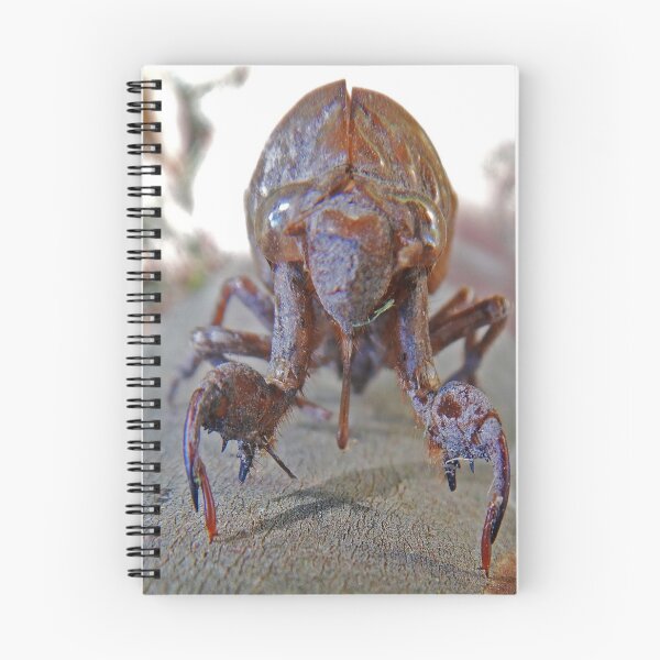 Item preview, Creature v.2 09/06/20 designed and sold by Mark Polk.