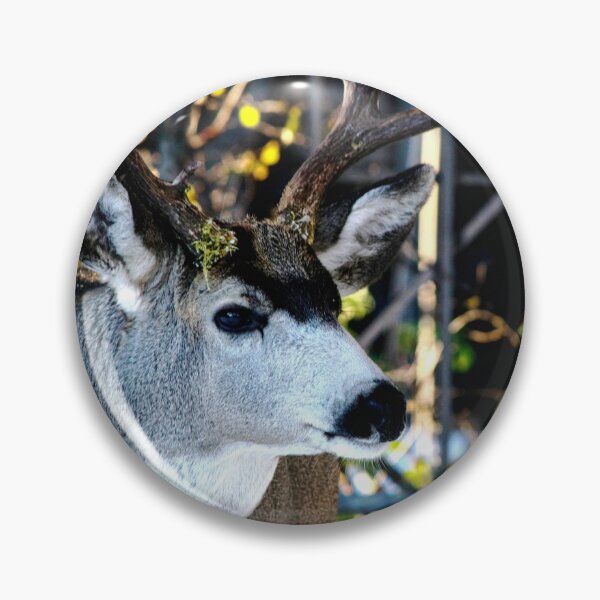 Item preview, Buck in the Backyard. designed and sold by CanadianWild418.