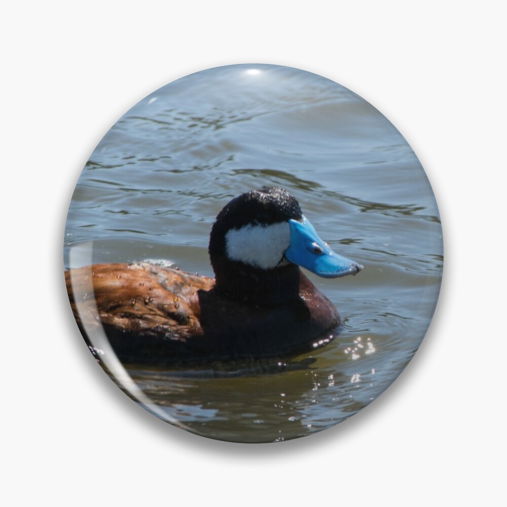 Ruddy Duck. Pin for Sale by CanadianWild418