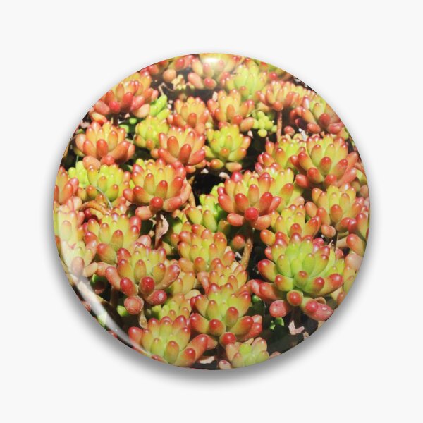 Item preview, Succulent Bloom Background designed and sold by citrusapple.