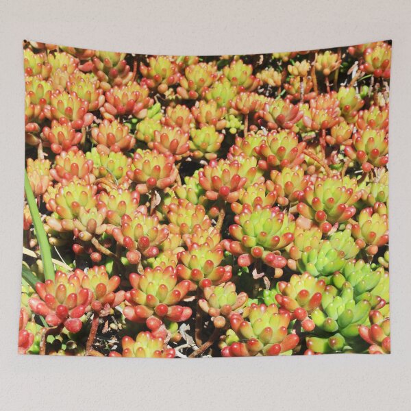 Item preview, Succulent Bloom Background designed and sold by citrusapple.