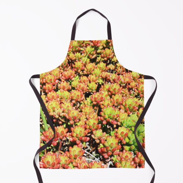 Item preview, Succulent Bloom Background designed and sold by citrusapple.