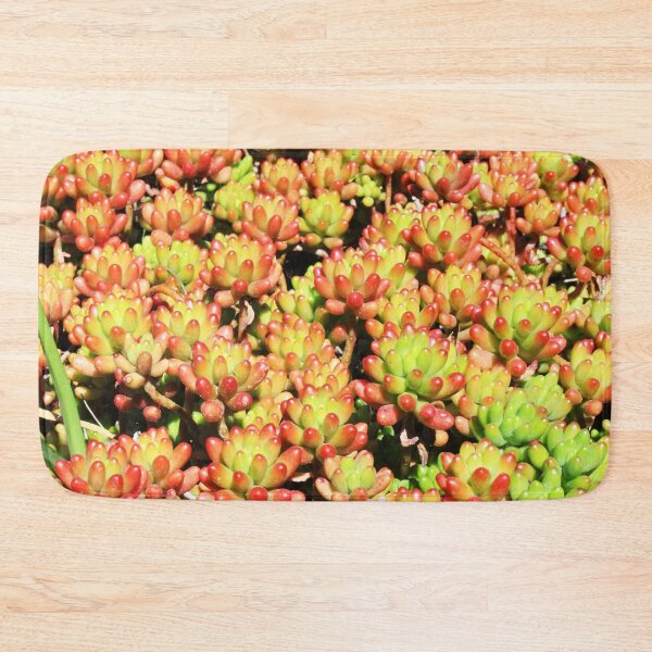 Item preview, Succulent Bloom Background designed and sold by citrusapple.