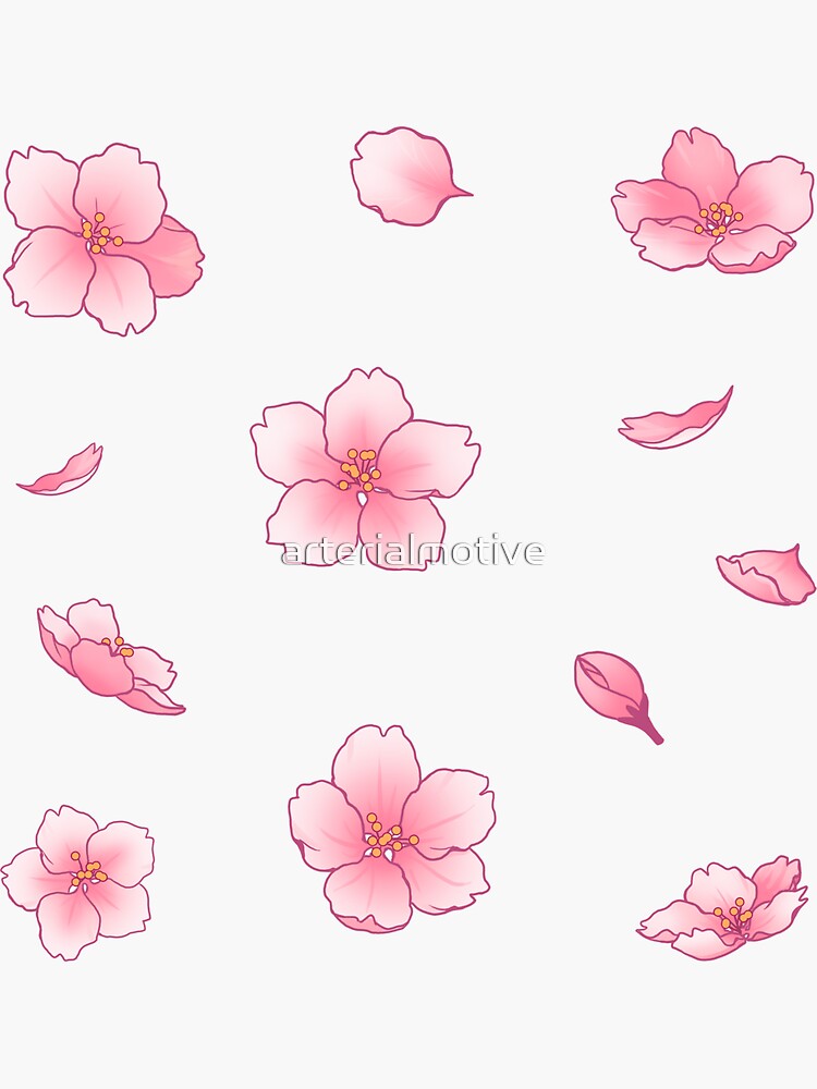 Fallende Sakura-Kirschblüte von arterialmotive