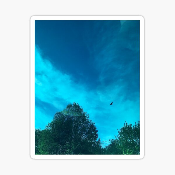 Item preview, Vibrant Aqua Blue Sky with Colorful Clouds and Hawk Flying designed and sold by ItsMichaelaa.