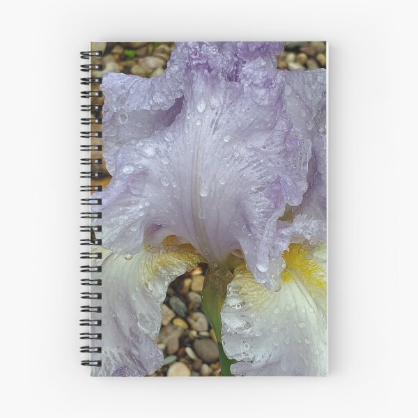 Aperçu de l'œuvre Iris - Un violet si doux créée et vendue par normacallicott.