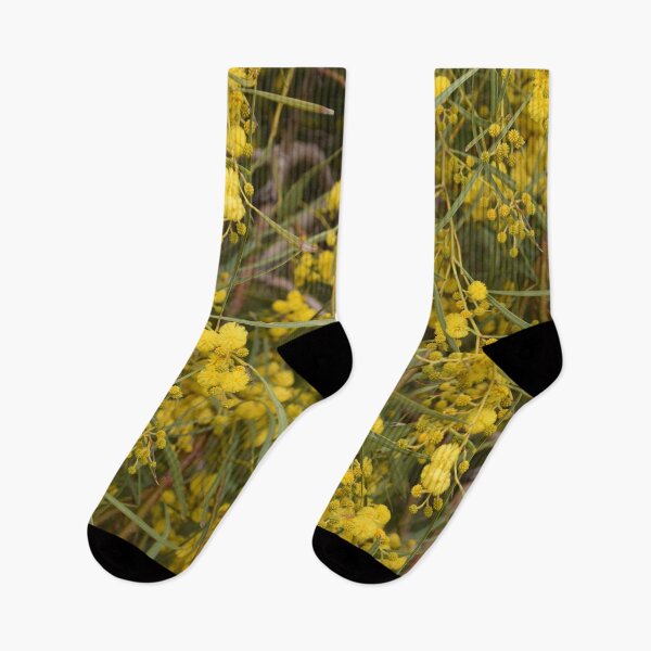 Item preview, Wattle in Spring designed and sold by Rainbow Farm Photography.