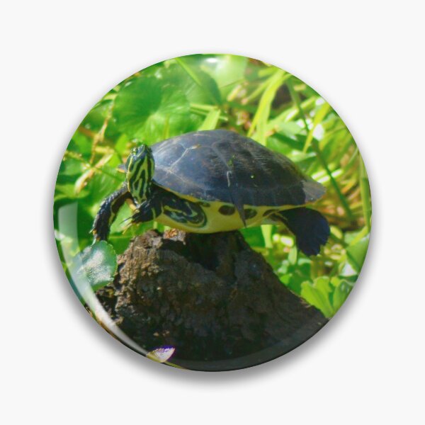 Item preview, Balancin' Turtle designed and sold by Lee Young.