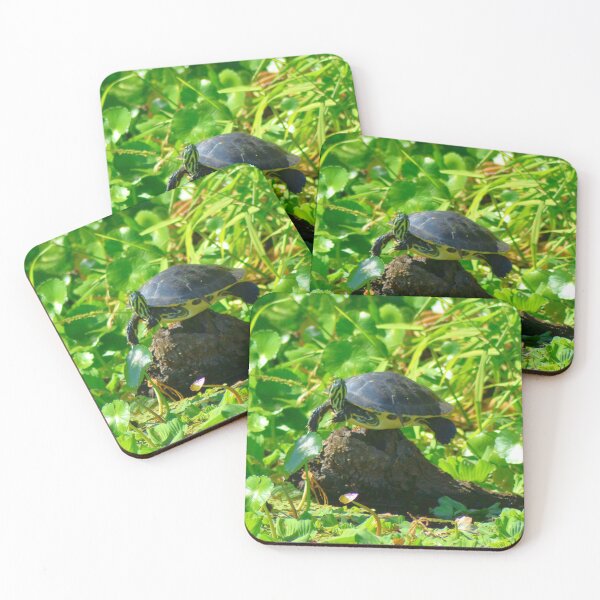 Item preview, Balancin' Turtle designed and sold by Lee Young.