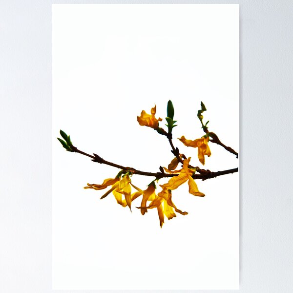 Item preview, Light And Life designed and sold by Denise Abé.