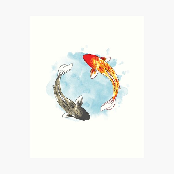 Koi Fish - Yin Yang Art Print