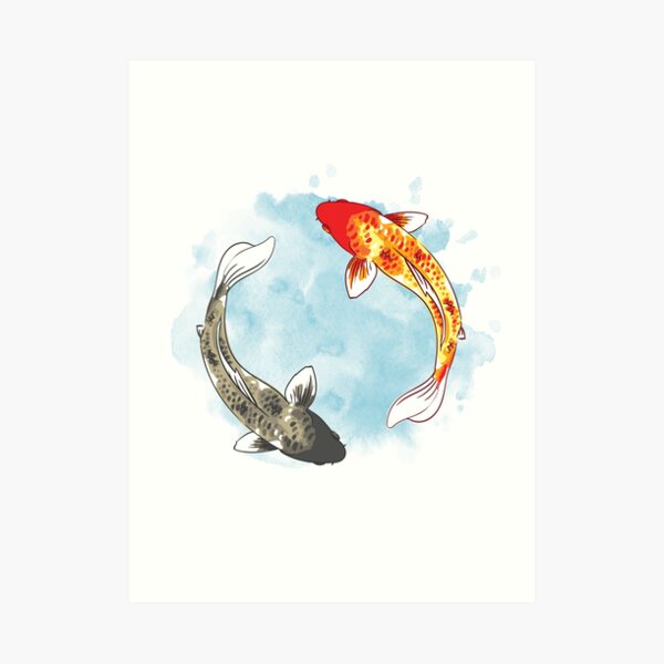 Koi Fish - Yin Yang Art Print
