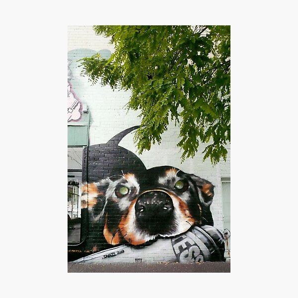 Graffiti Dog! Photographic Print