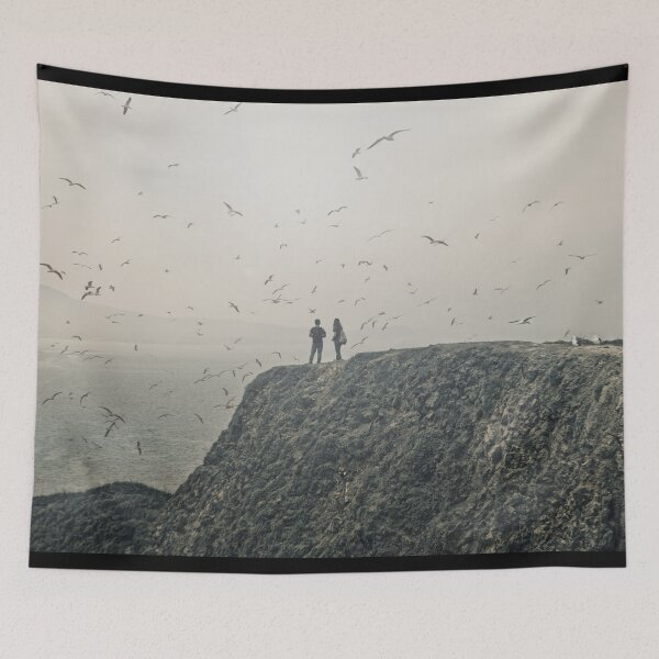 Item preview,  Seagulls. Anacapa Island Inspiration Point. designed and sold by Alex Preiss.