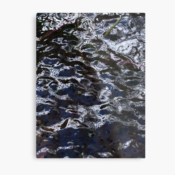Frog spawn Metal Print