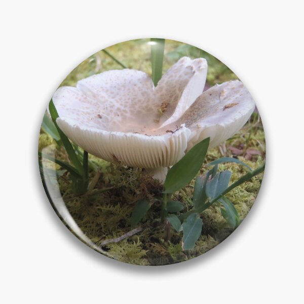 Item preview, Mushroom splitting top in moss designed and sold by VondasCreations.